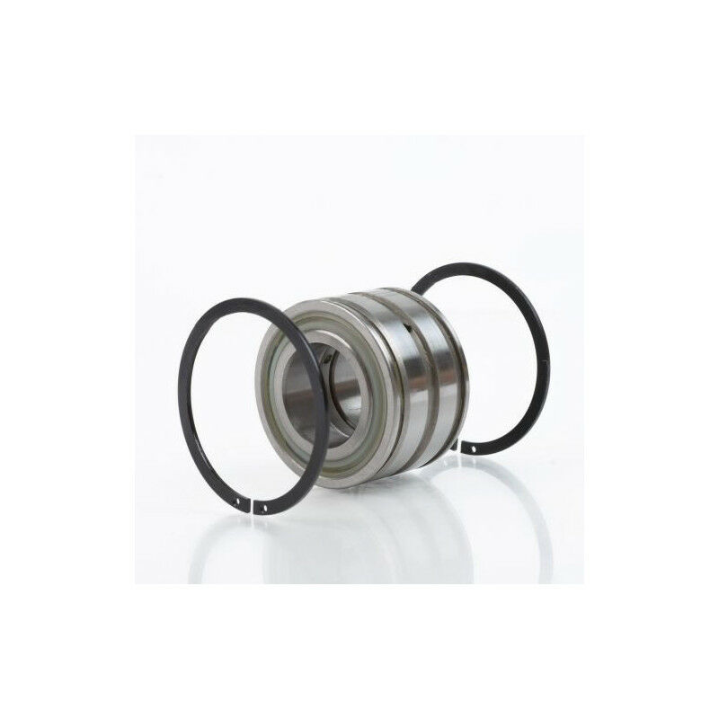 Cuscinetto a rulli cilindrici SL04220 DPP2NR INT