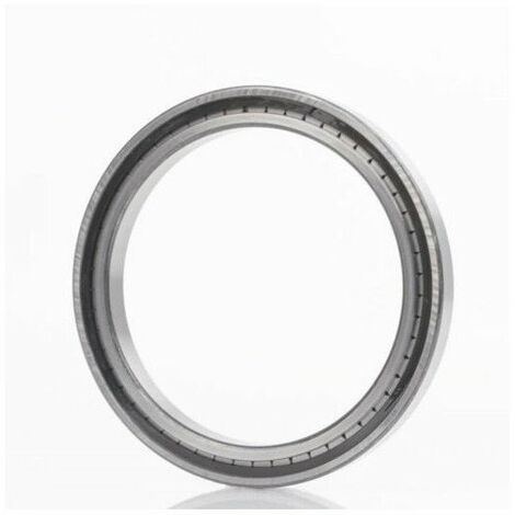 Cuscinetto a rulli cilindrici SL182956 C3 60mm OD 380mm ID 280mm foro cilindrico INA