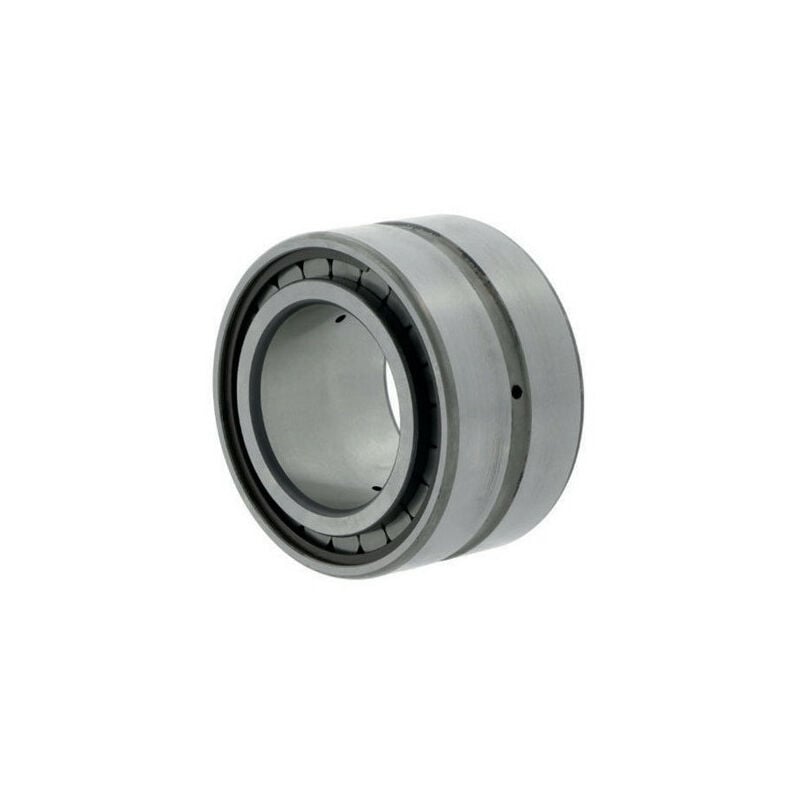 Cuscinetto a rulli cilindrici SL185006 INT. 30mm