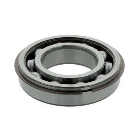 Cuscinetto radiale a sfere 21mm OD 100mm ID 55mm SKF
