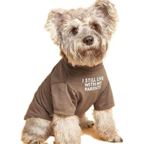 Cute Dog Clothes,Dog T Shirt for Medium Dogs.Dog Clothes for Small Dogs Girl Boy,Puppy.Breathable Soft Dog Costume Pet Dogs Cats,Pet Pullover Jumper,Cat Clothes (S-(48lb), Chest14", Khaki)