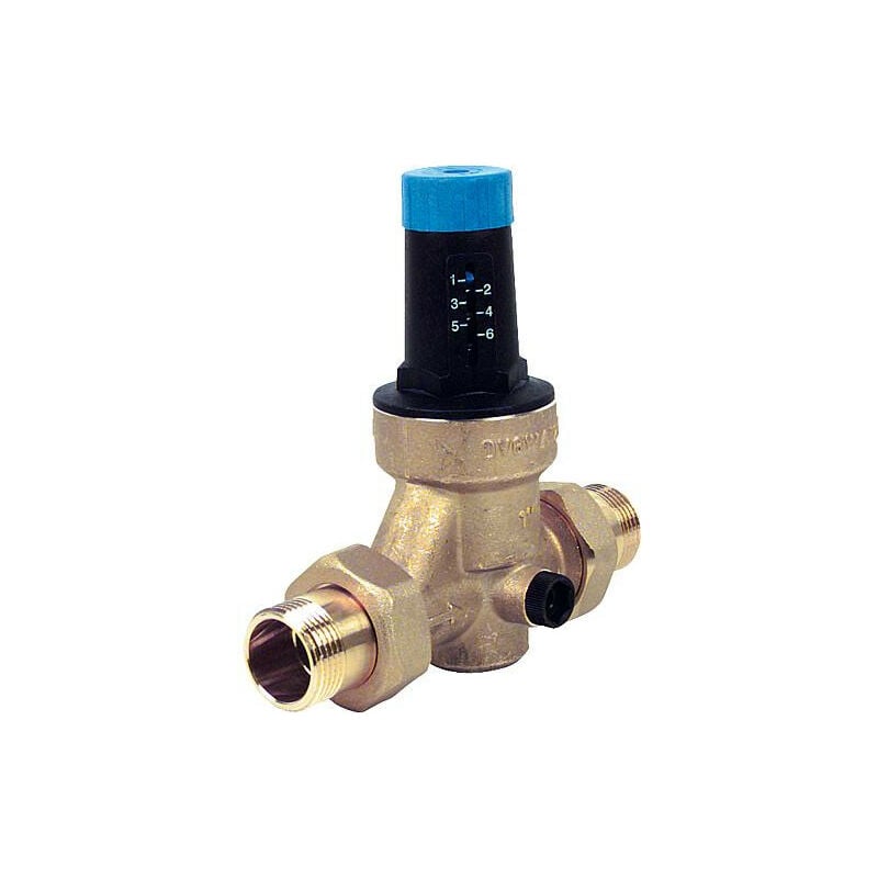 Réducteur de pression avec union filetée (2')