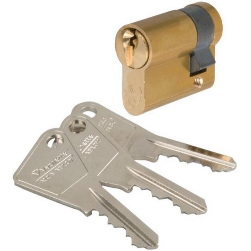 Demi cylindre varié laitonné - 30 x 10 mm - V5 Vachette