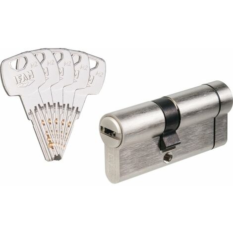 Cylindre 2 entrées F6S+ sécable varié nickelé Ifam