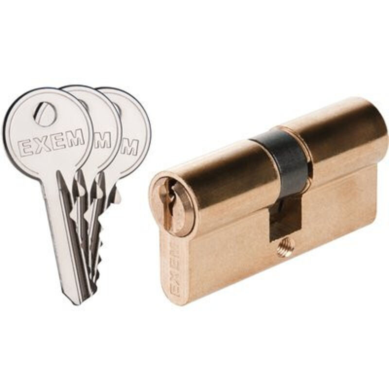 Cylindre 2 entrées 5G Exem Laiton nickelé - Varié - 80 x 30 mm