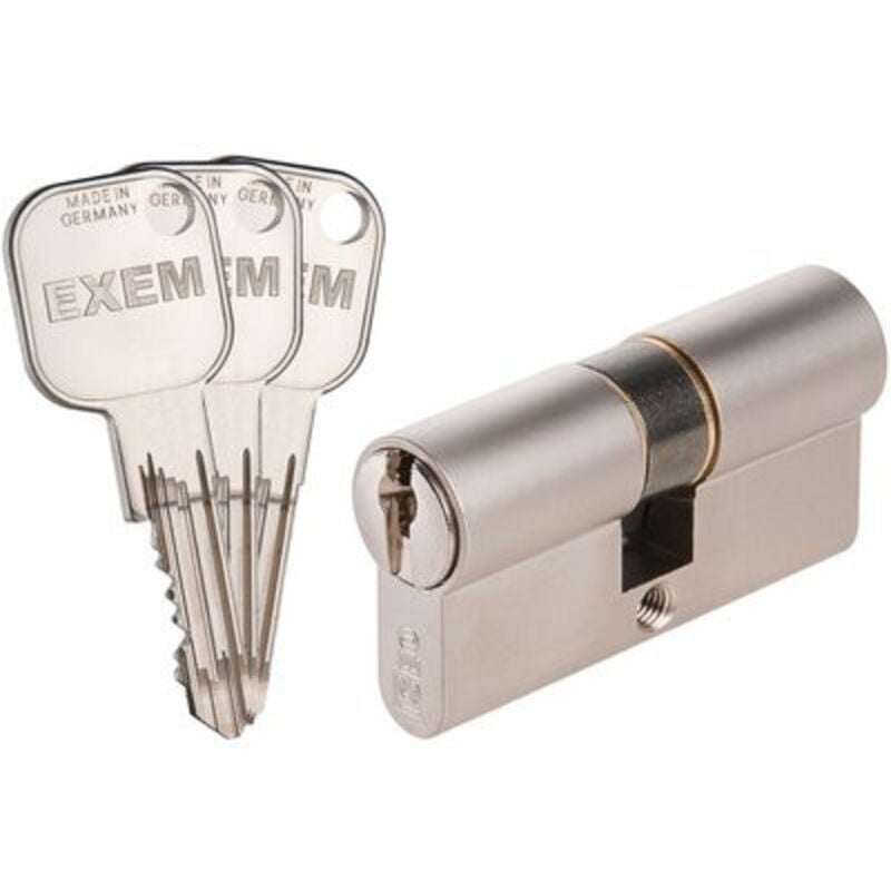 Cylindre 2 entrées F9 Exem Laiton nickelé - Varié - 40 x 30 mm