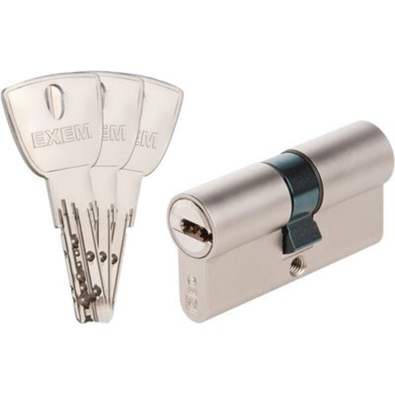 Cylindre 2 entrées R9+ Exem Laiton nickelé - Varié - 65 x 30 mm