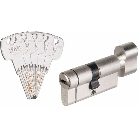 Cylindre de serrure F6S+ sécable nickelé 30 mm – 6 goupilles – Clé réversible à points – Protection anti-crochetage et anti-perçage – Ifam