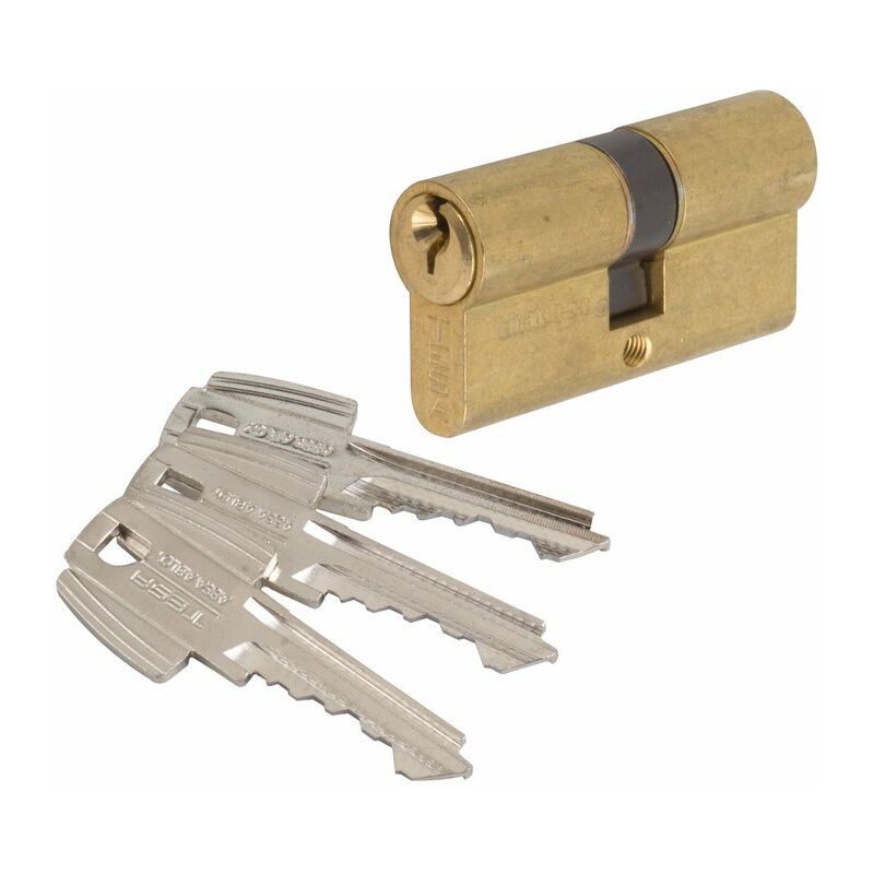 Cylindre 2 entrées s'entrouvrant laitonné - 30 x 90 mm - TE5 - Tesa