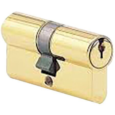 Cylindre à double entrée 30X40mm laiton poli - CISA - 831012-01-0A