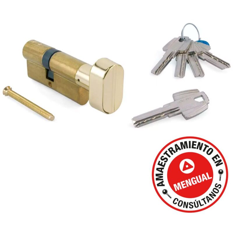 Bouton en laiton Tesa T.60 Cylindre 40X30 - Cylindre TESA T60 - Cylindre à 6 broches avec bouton à bascule à clé ponctuelle