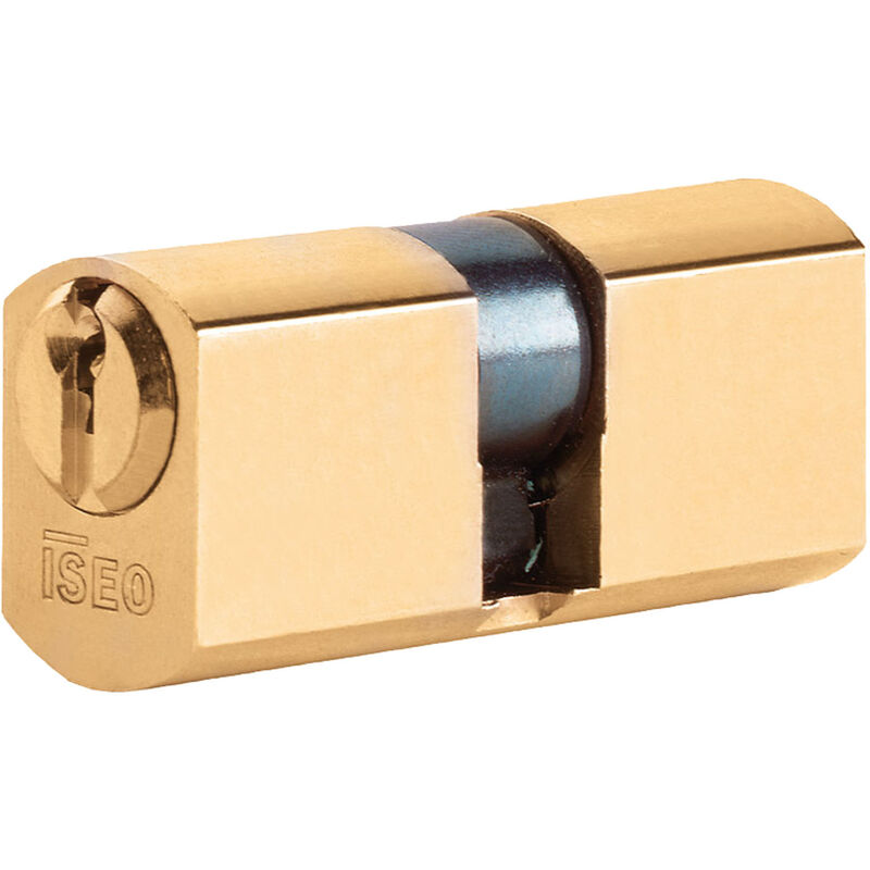Cylindre central iseo MM.56 corps en laiton à mortailler avec 5 goupilles pour serrure de portail et bande A.8420/28/28/7