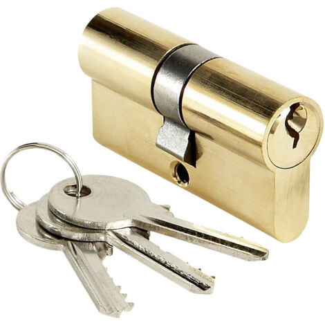 Cylindre de porte BRICARD 40x40 mm Barillet de serrure double entrée 3 clés
