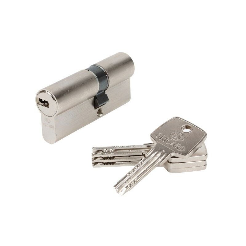 Cylindre de serrure Astral debrayable L.30 + 40 mm - Bricard