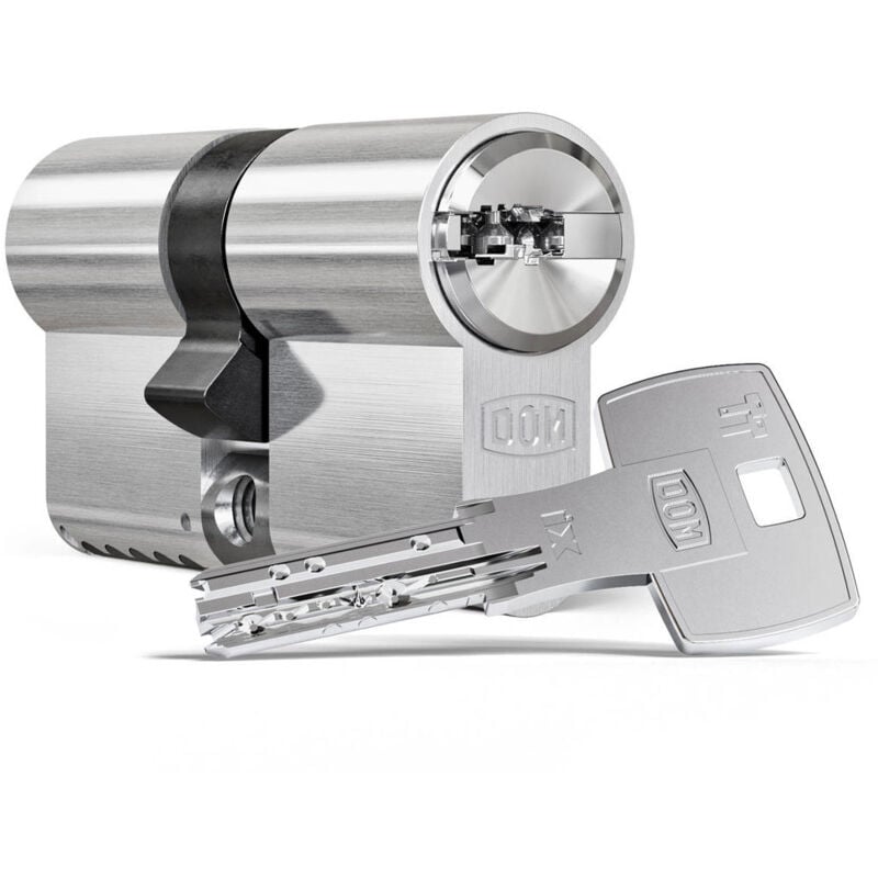 Cylindre de porte haute sécurité IX6 sr nickelé et clé a billes Dimension - 30x50