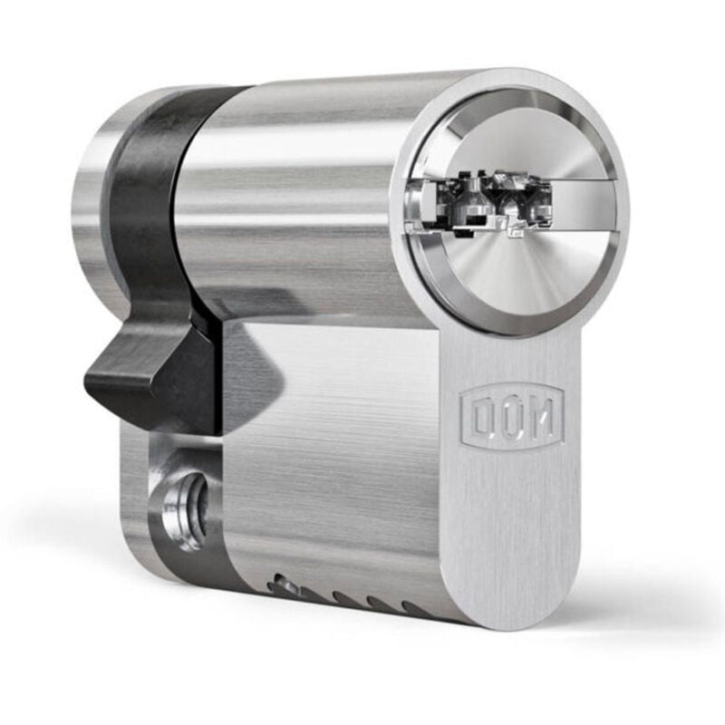 Cylindre de porte haute sécurité IX6 sr nickelé et clé a billes Dimension - 30x10
