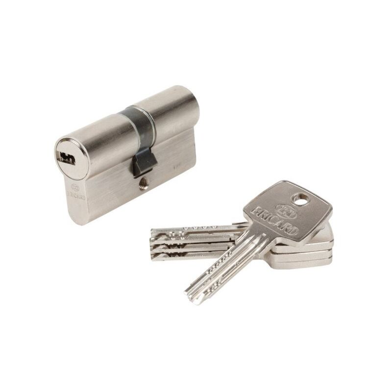 Cylindre de serrure astral debrayable L.30 + 30 mm 5 cles - Bricard