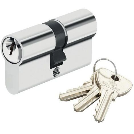 Cylindre de sécurité pour porte barillet 30x30 mm Alpha Bricard 3 clés