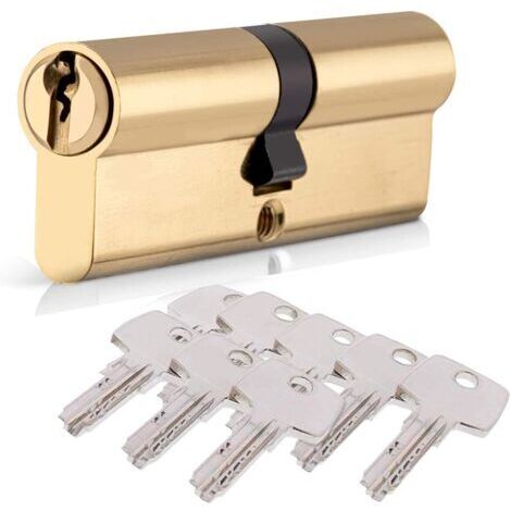 Cylindre de Serrure 40/40 (80mm), HOMEK Serrure à Doublé Cylindre Porte Cylindre Européen avec 8 Clés, Finition en Laiton, Serrure de Porte Antichoc Anti-Perçage Anti-Pique