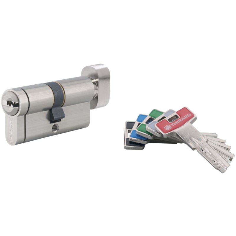 Cylindre de serrure à bouton T2, 40Bx40mm, nickel, anti-arrachement, anti-perçage, anti-crochetage, 5 clés