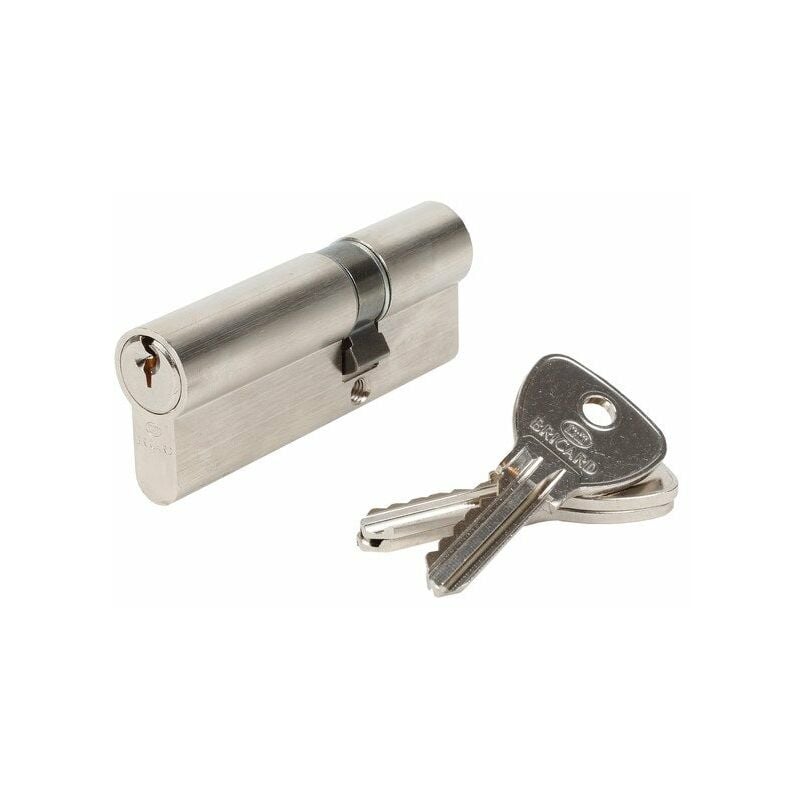 Cylindre De Serrure Alpha L.30 + 50 Mm - Bricard