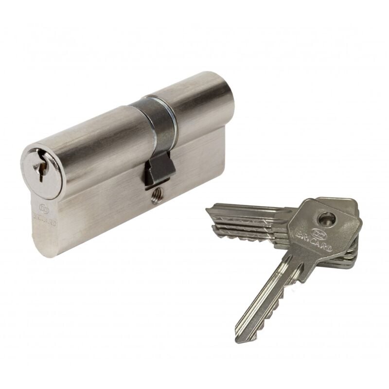 BRICARD Cylindre de serrure BRICARD alpha débrayable L.30 + 40 mm