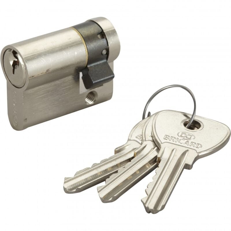 Cylindre de serrure alpha L.30 + 10 mm - Bricard