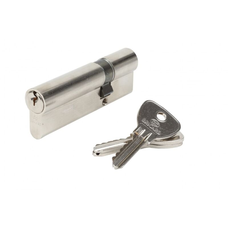 Cylindre de serrure alpha L.30 + 60 mm - Bricard
