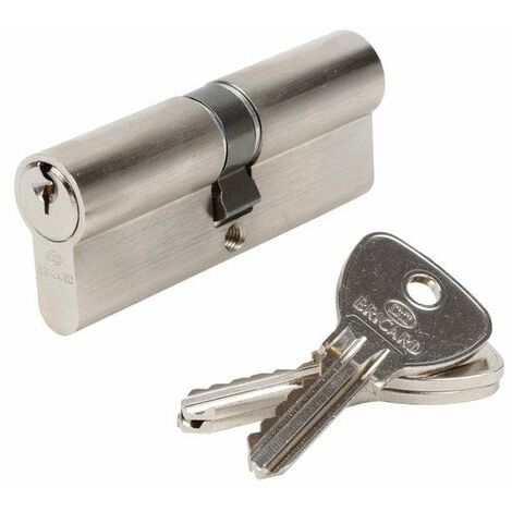 Cylindre De Serrure Bricard Alpha L.40 + 40 Mm