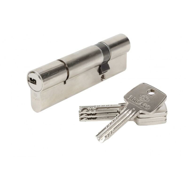 Cylindre de serrure astral débrayable L.30 + 70 mm - Bricard