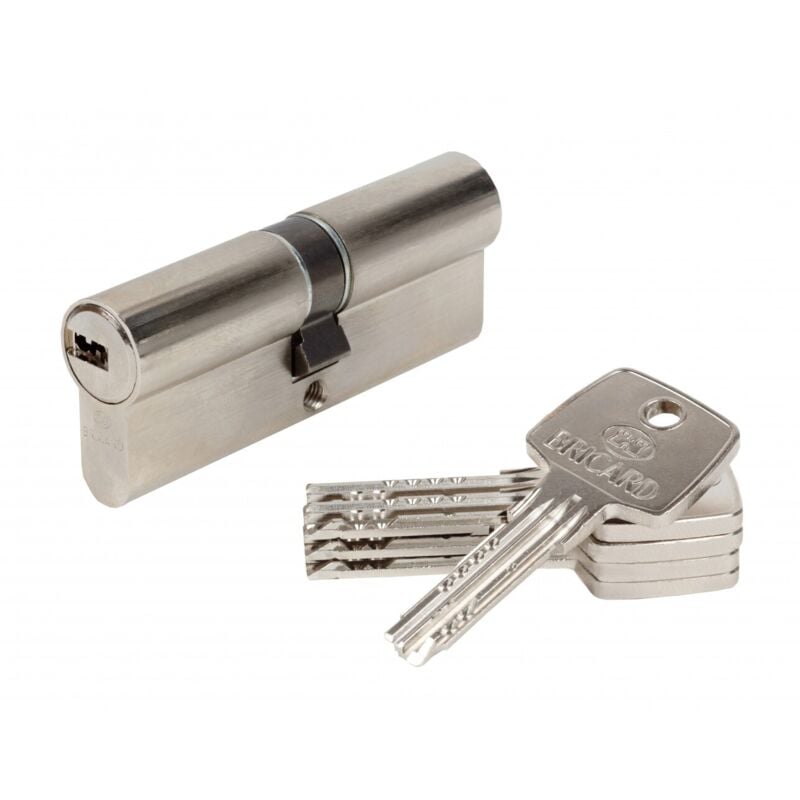 Cylindre de serrure astral débrayable L.40 + 40 mm - Bricard