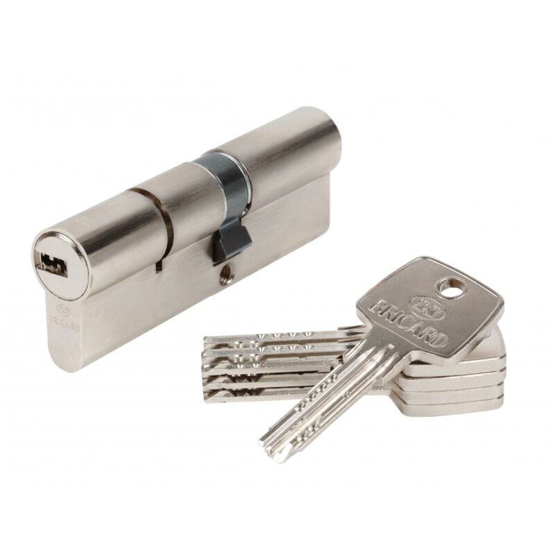 Cylindre de serrure astral débrayable L.40 + 50 mm - Bricard