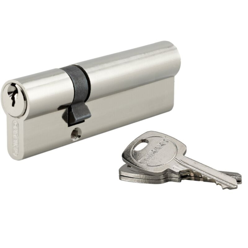 Cylindre de serrure double entrée, 30x65mm, anti-arrachement, nickel, 3 clés