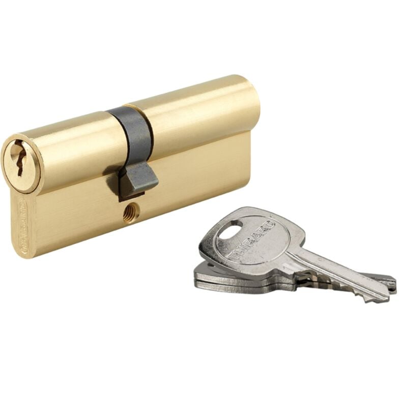 Cylindre de serrure double entrée, 35x50mm, anti-arrachement, laiton, 3 clés