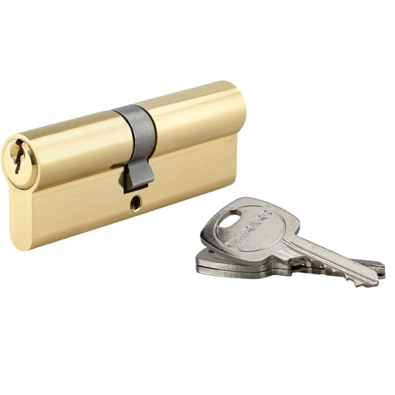 Cylindre de serrure double entrée, 40x45mm, anti-arrachement, laiton, 3 clés