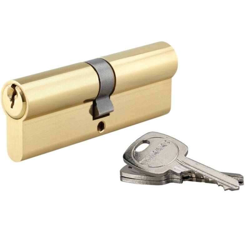 Cylindre de serrure double entrée, 45x45mm, anti-arrachement, 3 clés, laiton