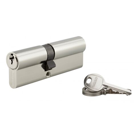 Cylindre de serrure double entrée SA, 40 x 50 mm, anti-arrachement, nickel, 3 clés - 1 pièce - THIRARD - 00016398