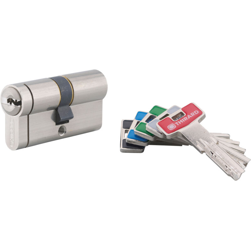 Cylindre de serrure double entrée T2, 30x30mm, nickel, anti-arrachement, anti-perçage, anti-crochetage, 5 clés