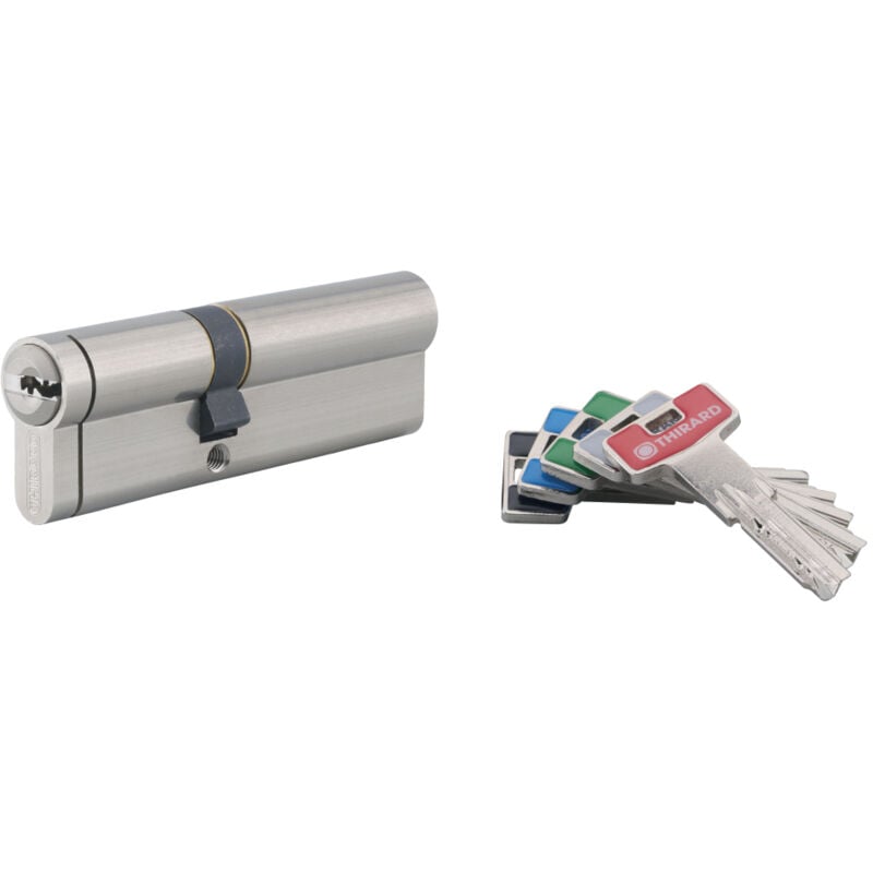 Cylindre de serrure double entrée T2, 40x55mm, nickel, anti-arrachement, anti-perçage, anti-crochetage, 5 clés