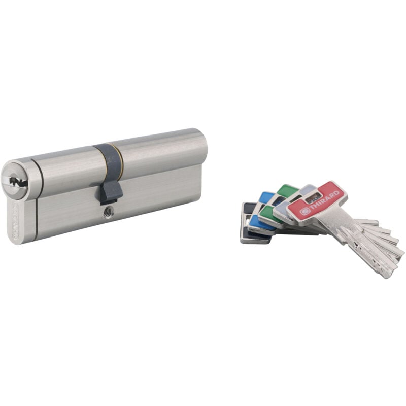 Cylindre de serrure double entrée T2, 45x55mm, nickel, anti-arrachement, anti-perçage, anti-crochetage, 5 clés