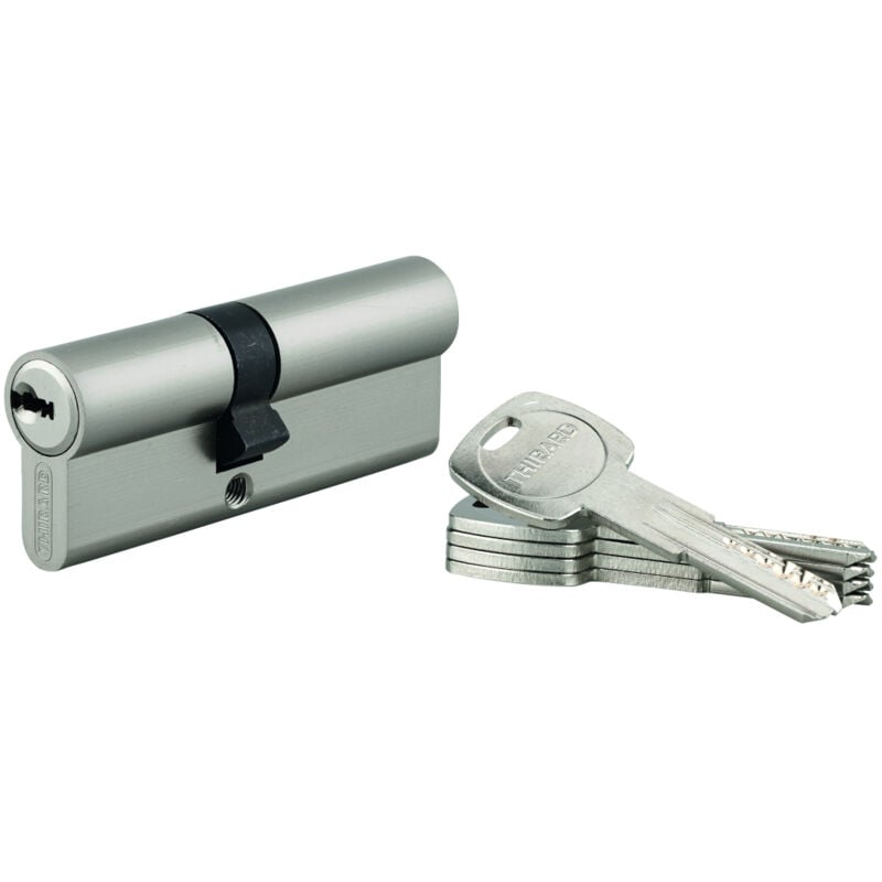 Thirard - Cylindre de serrure double entrée Trafic 6 unikey (achetez-en plusieurs, ouvrez avec la même clé), 35x45mm, 5 clés
