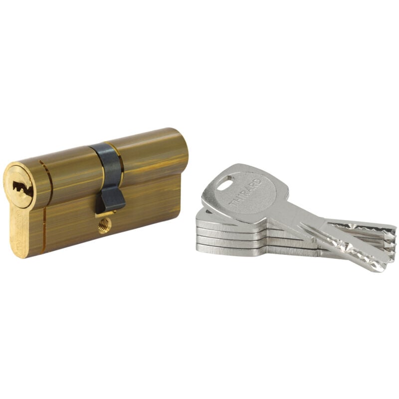 Thirard - Cylindre de serrure double entrée Transit 2, 40x40mm, laiton, anti-arrachement, anti-perçage, anti-crochetage, 5 clés
