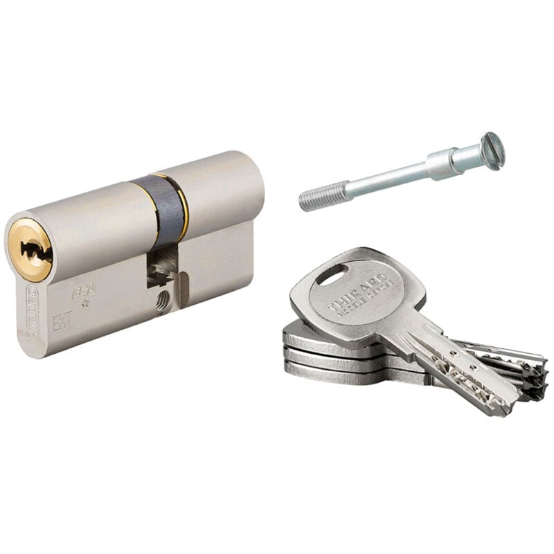 Cylindre de serrure double entrée Transit 2 pour Trimax A2P, 35x30mm, nickel, 4 clés