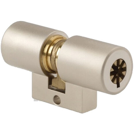 Cylindre de serrure monobloc 30x30mm à 5 ailettes saillant – Compatible Fontaine et Laperche – Livré avec 3 clés – Finition nickelée – Pollux