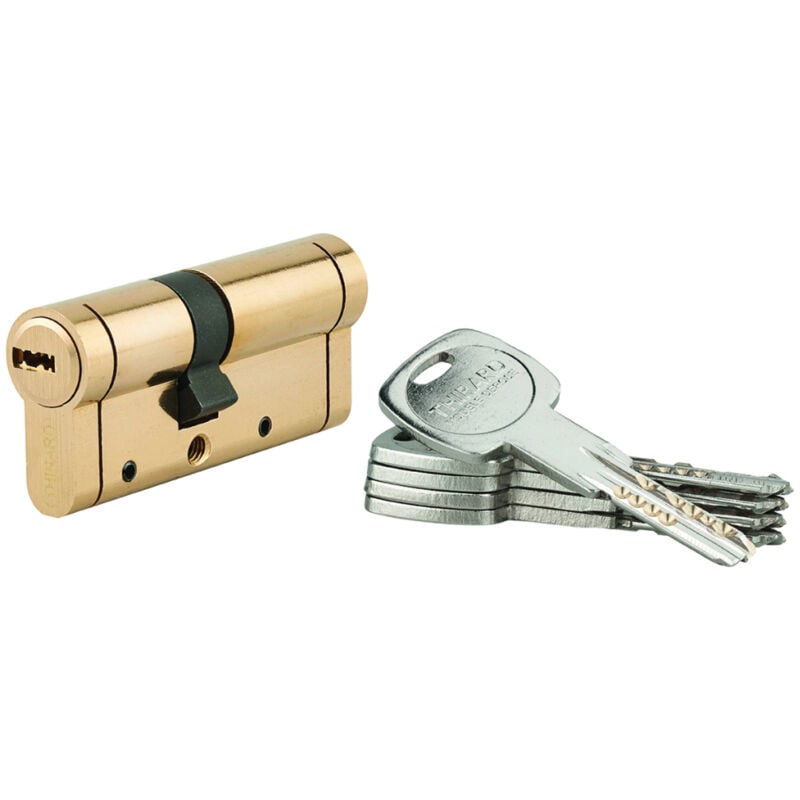 Cylindre de serrure Trafic 12, 30x40mm, laiton, anti-arrachement, anti-perçage, anti-casse, 5 clés