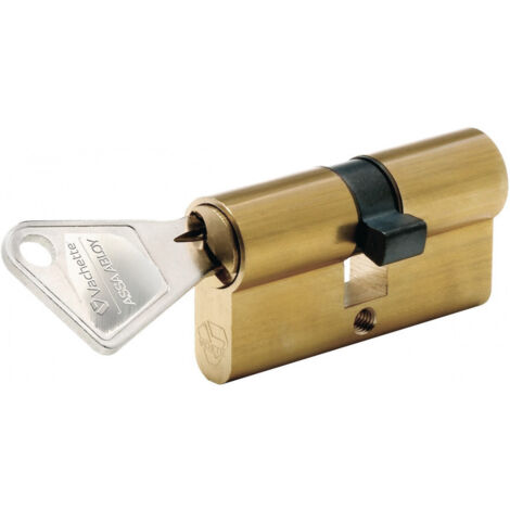 Cylindre de sureté double v5 30 x 30
