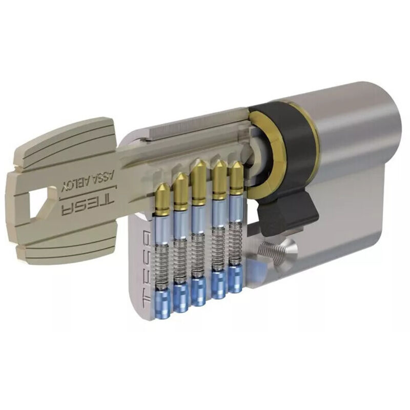 Cylindre double à bouton breveté type Néo à clé protégée varié 3 clés 40 x B40