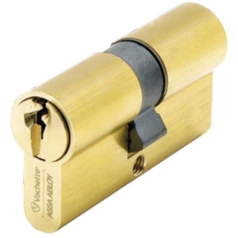 Cylindre double de sûreté 40 x 40 en laiton poli - Profil européen s'entrouvrant sur numéro UA1001 - Série V5 7100 Vachette