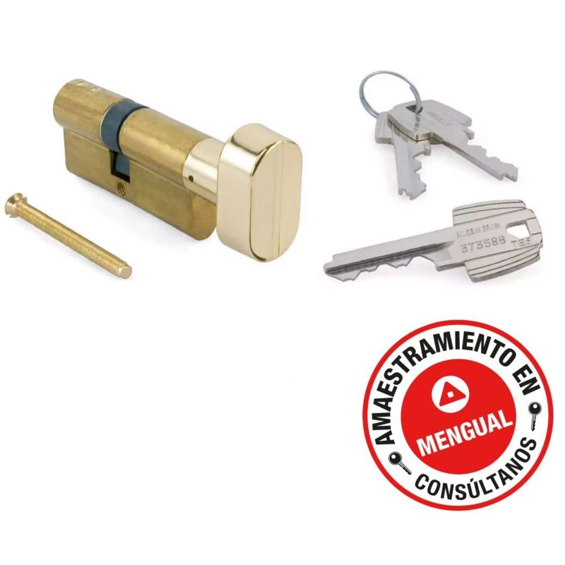 Tesa - Cylindre &agrave; bouton nickel&eacute; TE5 60mm - B30x30mm - 503B3030N