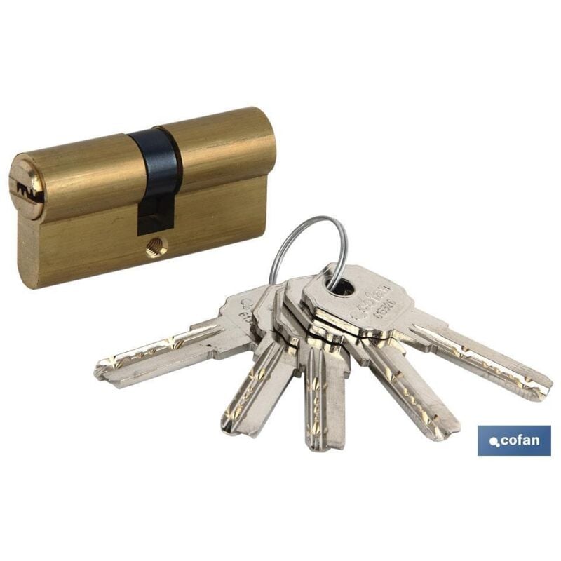 Cylindre de sécurité en nickel pour clé normale 30/30 - Came longue assortie aaa